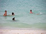 Galapagos 3-2-06 Espanola Gardner Bay Swimming With the Sea Lions The boys went for a swim at Gardner Bay, and didn�t even notice a fellow swimmer.